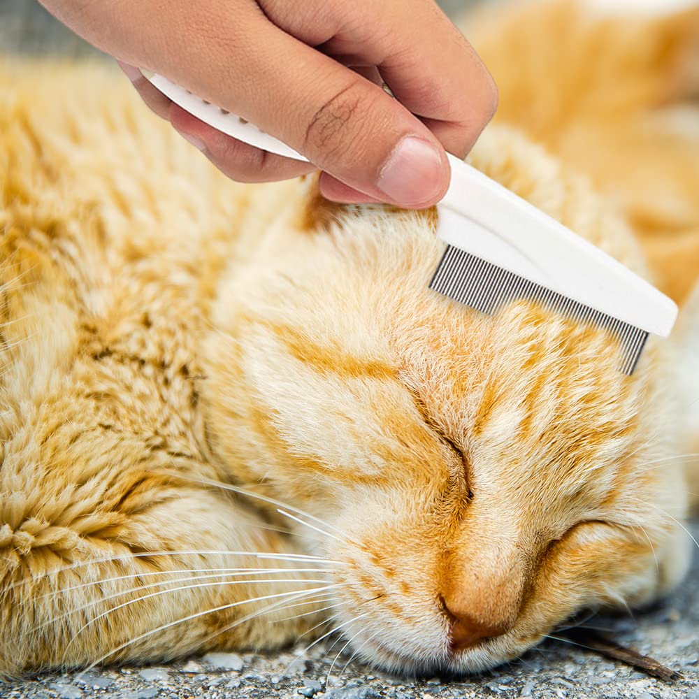 Fine-Tooth Grooming Comb for Tear Stains, S or L, for dogs and cats.