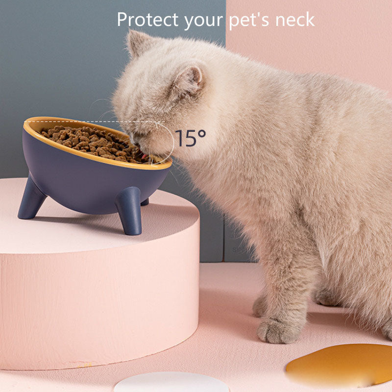 Elevated Tilted Pet Bowl with Stand for Dogs and Cats