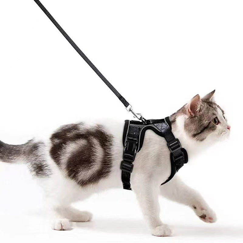 Breathable Mesh Chest Harness with Reflective Trim, for cats.
