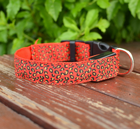 Rechargeable LED Safety Collar, for dogs.