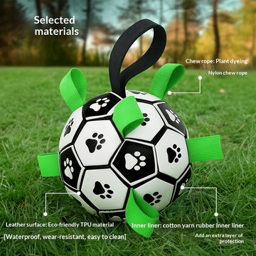 Squeaky Rubber Dog Ball – Durable Fetch & Chew Toy – detail view