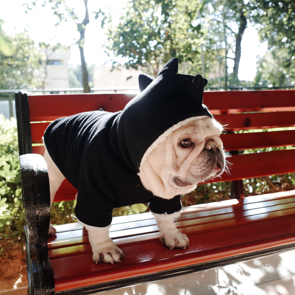 Dinosaur Hooded Lamb Fleece Winter Sweater, for dogs.