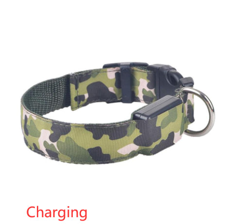 Light-Up Camouflage Dog Collar for Night Walks, for dogs.
