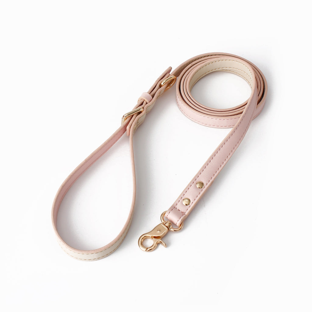 Leather Traction Leash, for dogs.