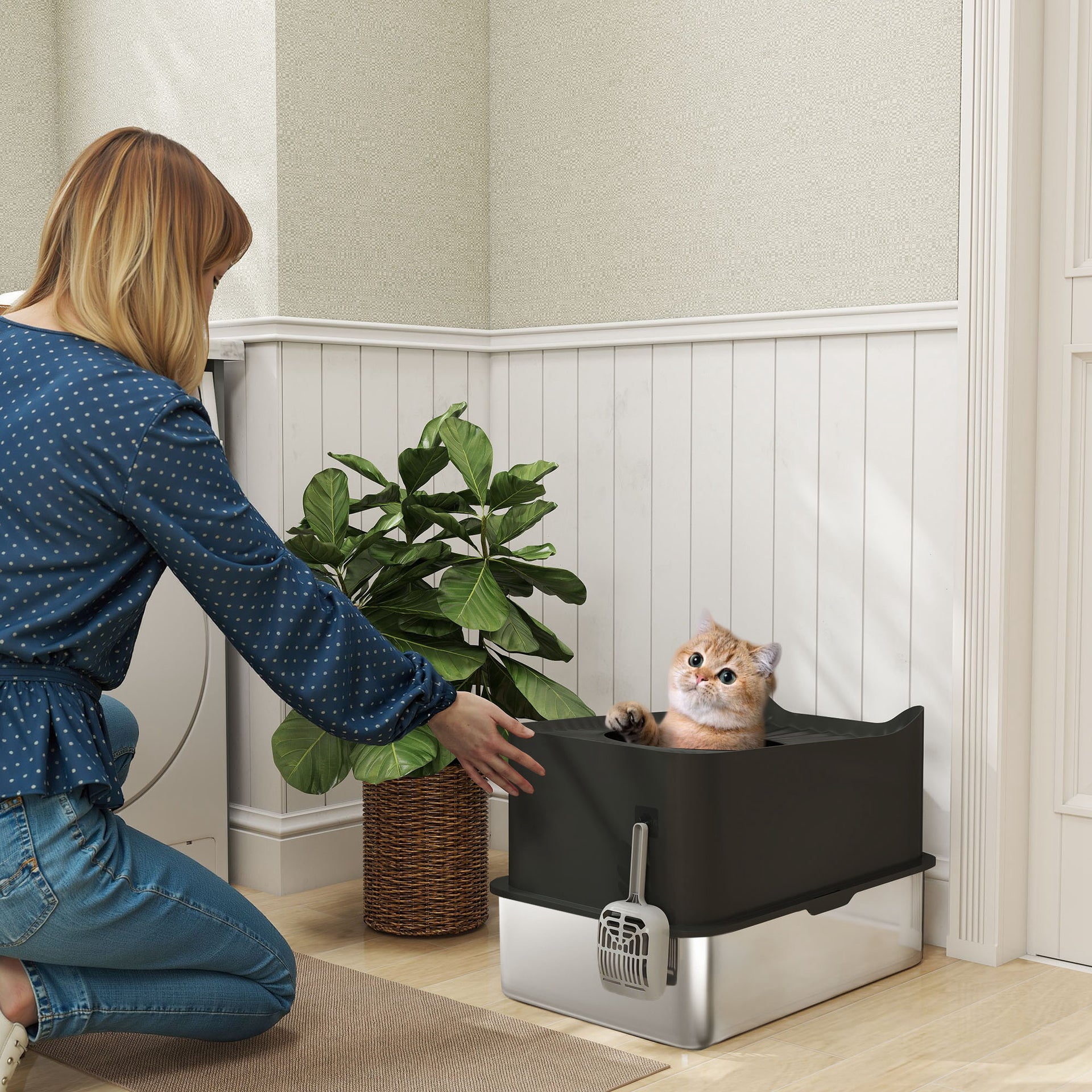 Covered Cat Litter Box with Lid