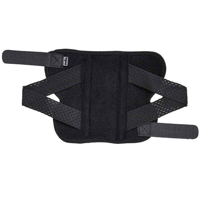 Adjustable Two-Size Auxiliary Support Strap, for dogs.