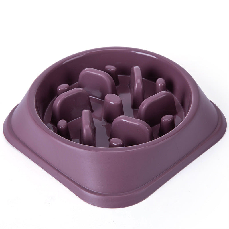 Slow-Feed Bowl to Help Prevent Fast Eating in Pets, for dogs and cats.