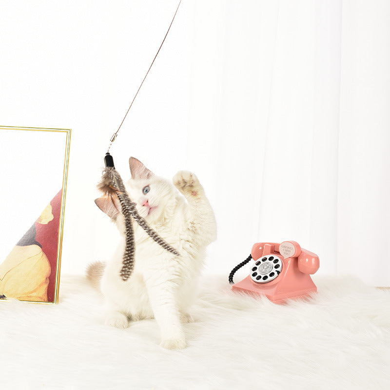 Interactive Feather Teaser Wand Toy, for cats.