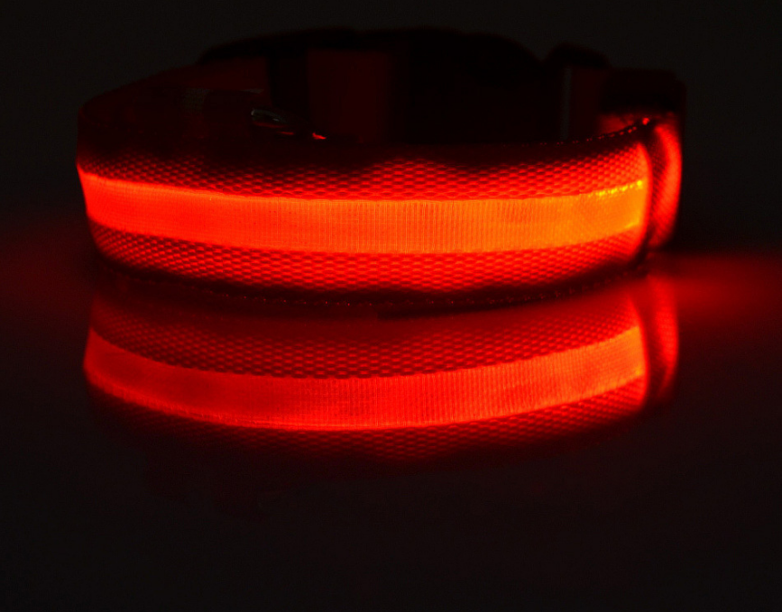 LED Glow-in-the-Dark Collar, for dogs and cats.
