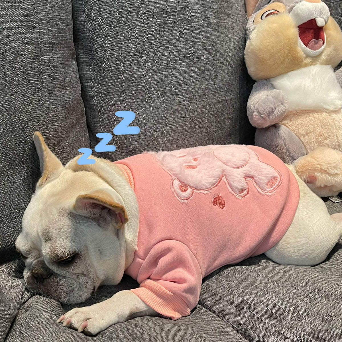 Plush Pink Princess-Style Cotton Sweater, for dogs.
