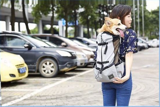 Ventilated Pet Travel Backpack with Safety Buckle