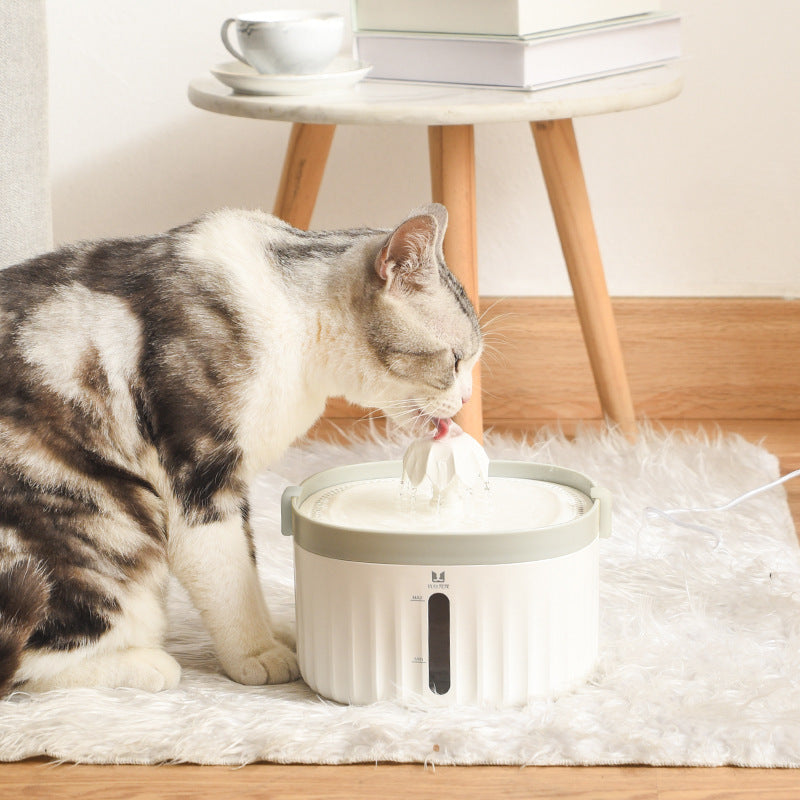 Electric Pet Water Fountain with Filter Element, for cats.