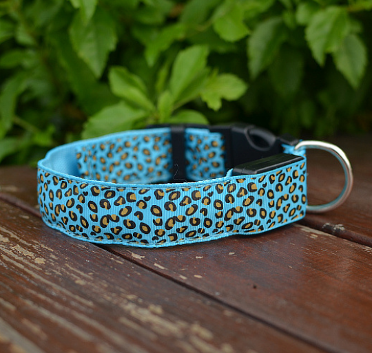Rechargeable LED Safety Collar, for dogs.
