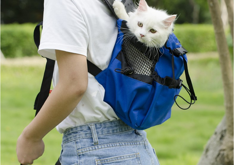 Ventilated Pet Travel Backpack with Safety Buckle