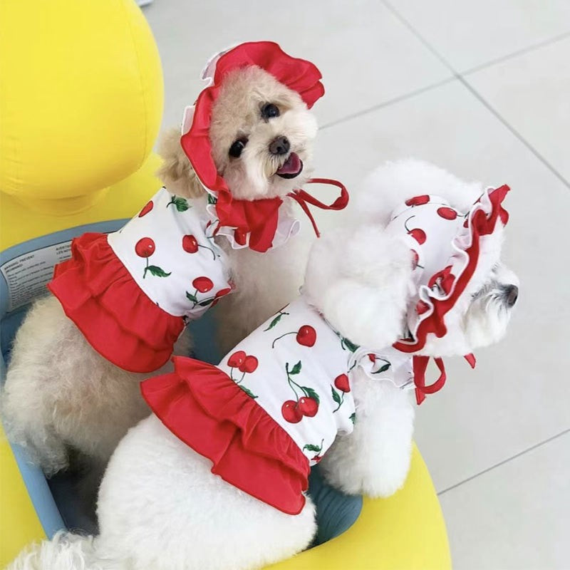 Red Polyester Dog Dress, for dogs.