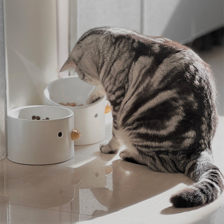 Ceramic Slanted Water Bowl, for dogs and cats.