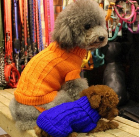 Knitted Wool-Style Sweater, for dogs.
