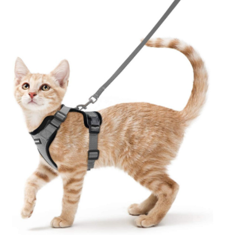 Breathable Mesh Chest Harness with Reflective Trim, for cats.