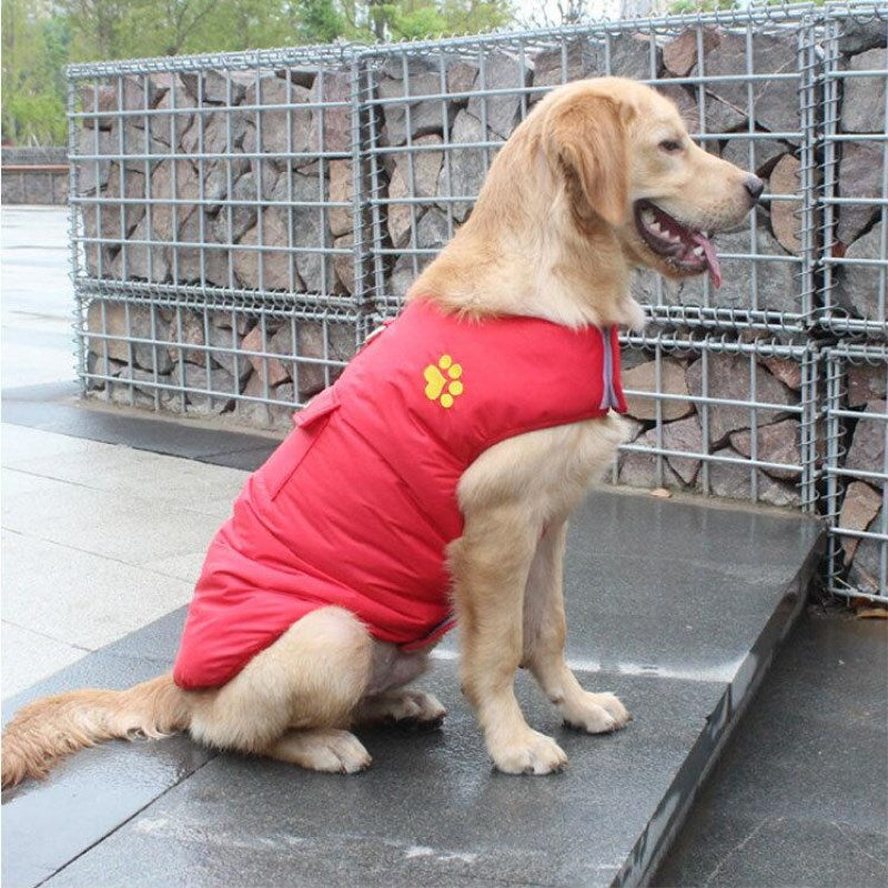 Padded Winter Cotton Coat, for dogs.