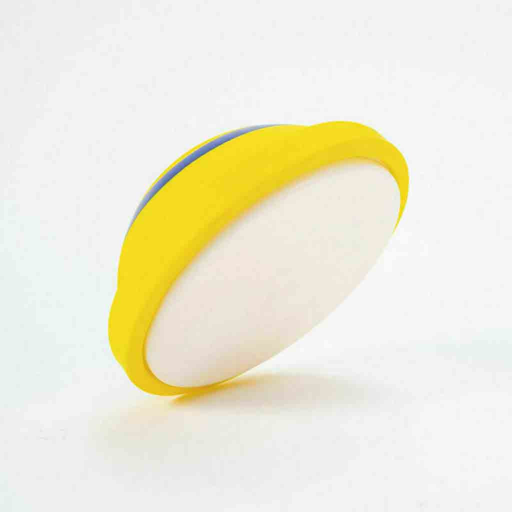 Sound-Activated Disc Toy, for dogs.