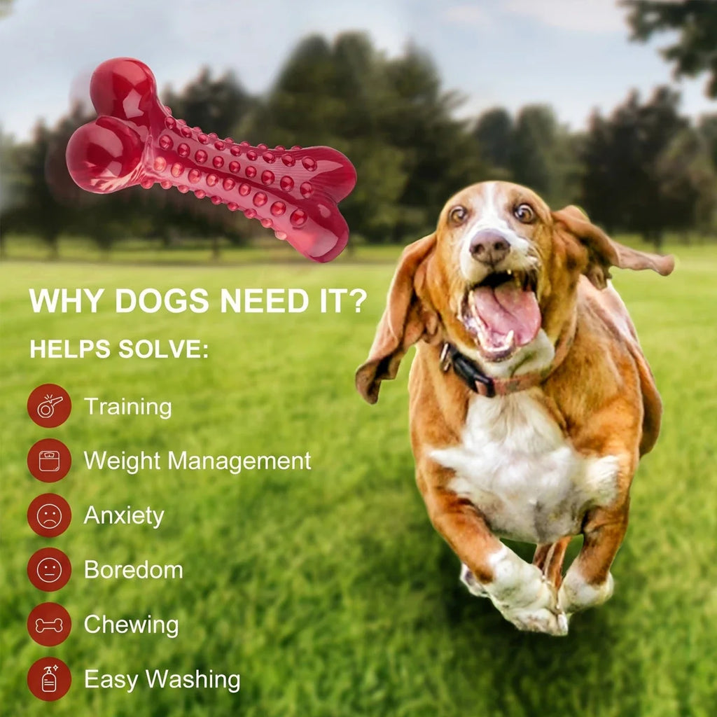 Durable Rubber Chew Toy for Aggressive Chewers, for dogs.