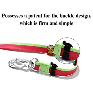Dual-Color Embossed Dog Leash & Collar Set – Fashion Walking Set – detail view
