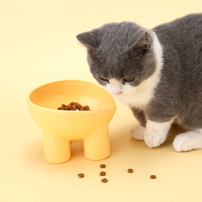 Raised Double Feeding Bowl, for cats.