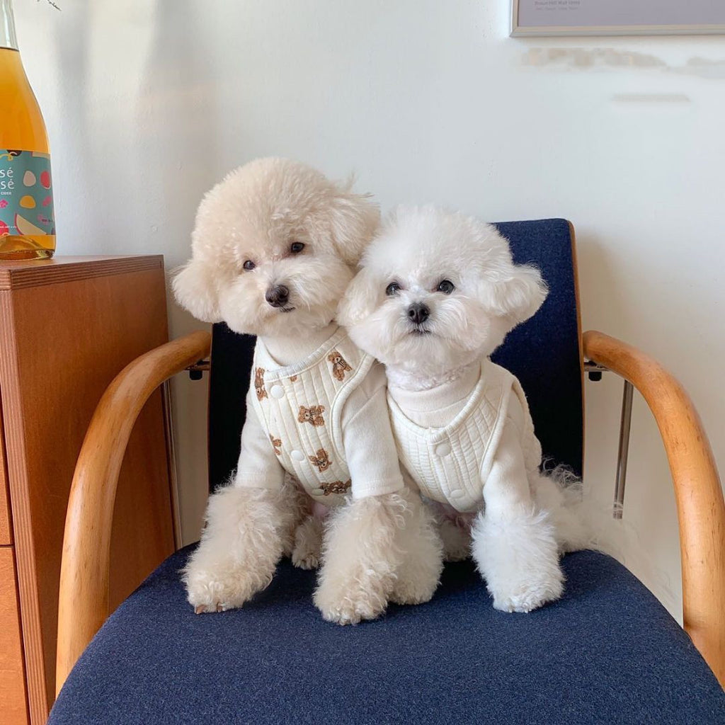 Cotton Vest with Built-In Leash Ring, for dogs.