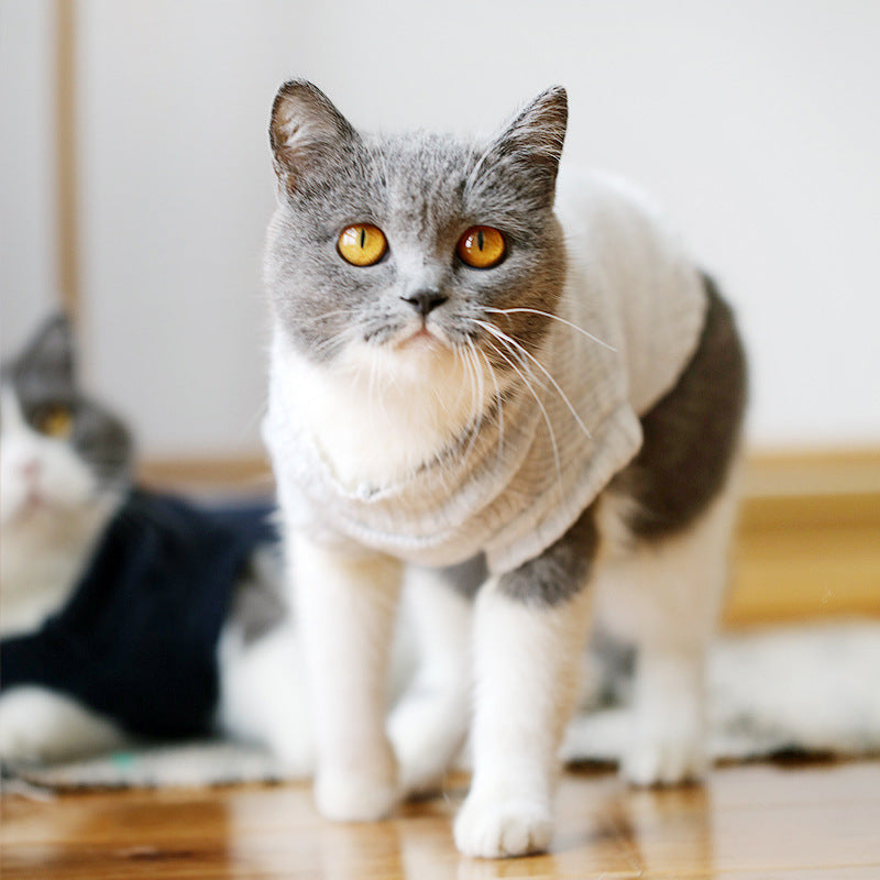 Bulky Acrylic Knit Sweater, for cats.