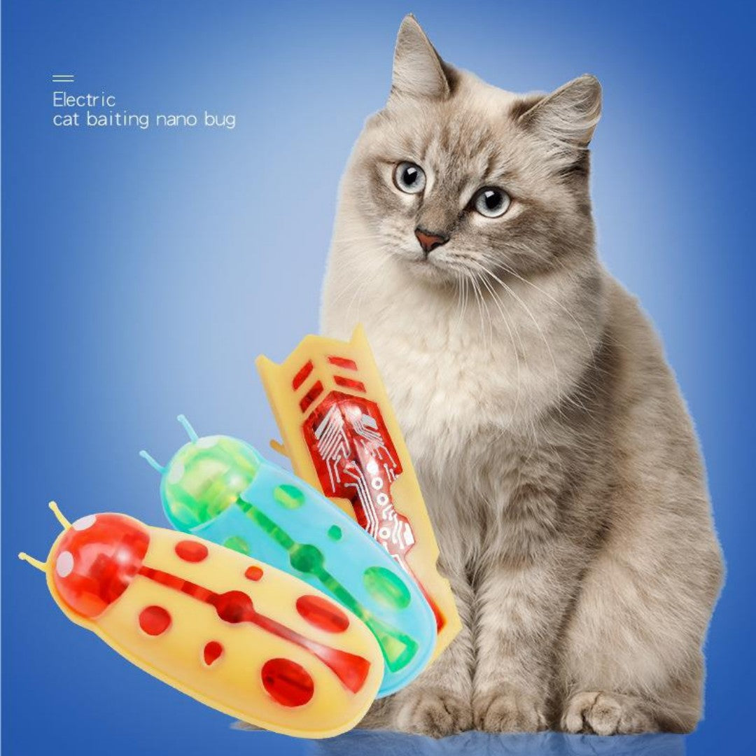 Electronic Bug Toy, for dogs and cats.