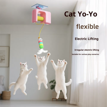 Electric Hanging Yo-Yo Cat Toy – Auto Bouncing Door Teaser