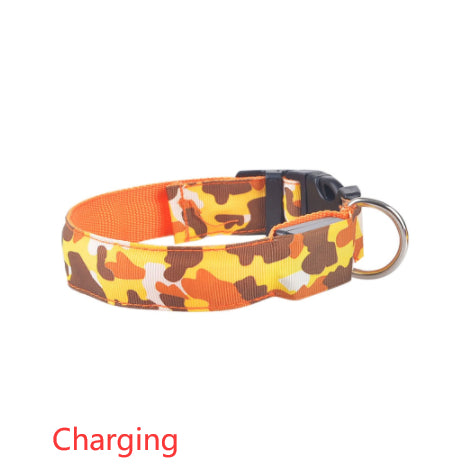Light-Up Camouflage Dog Collar for Night Walks, for dogs.