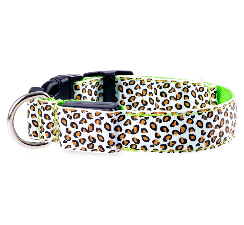 Rechargeable LED Safety Collar, for dogs.