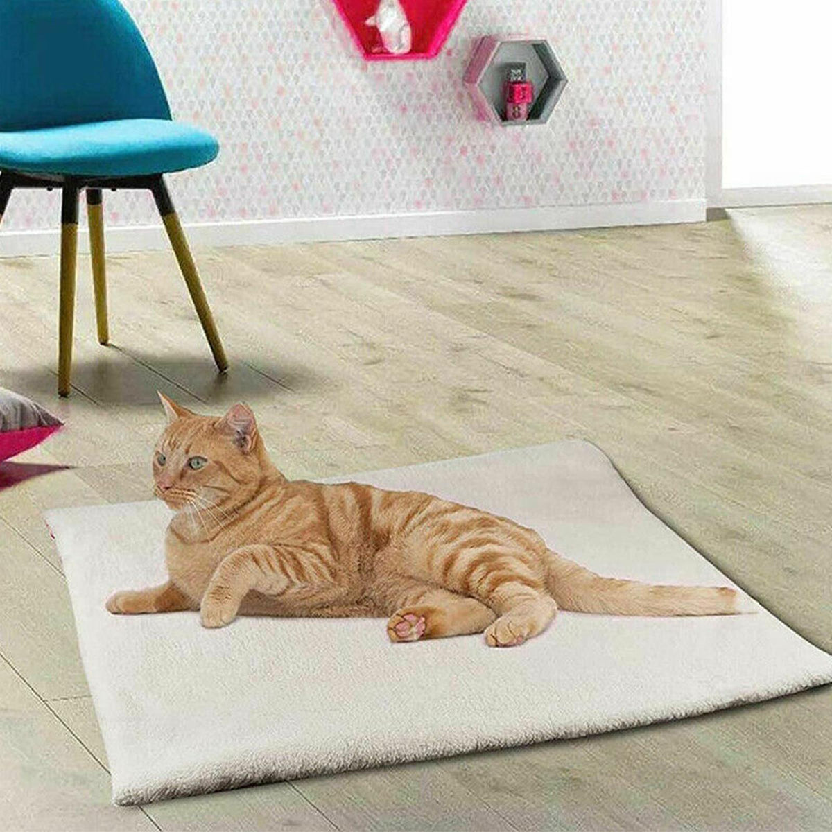 USB Electric Heating Pad, for dogs and cats.