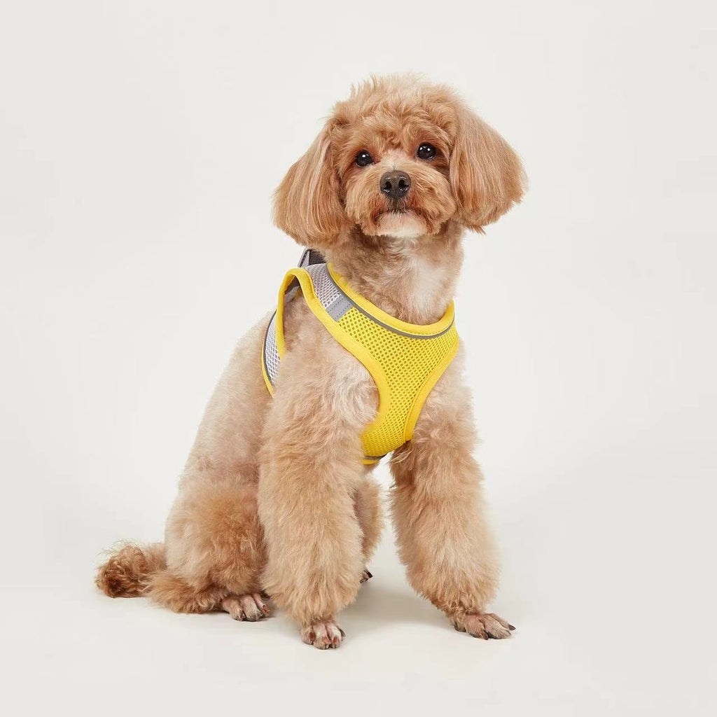 Breathable Vest-Style Leash, for dogs.