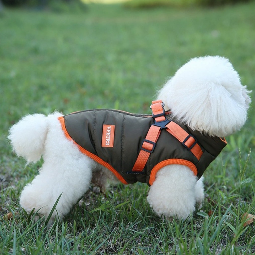 Padded Winter Ski Vest, for dogs.