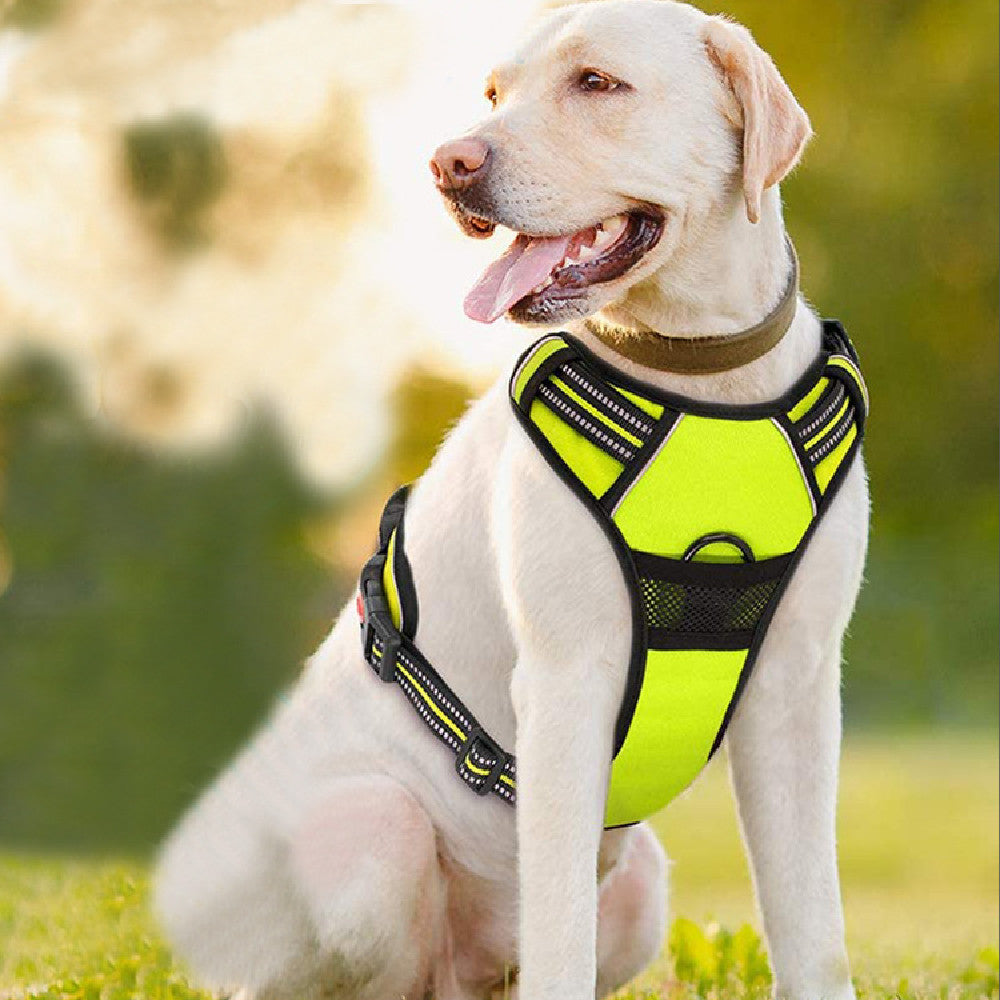 Polyester Chest Strap Harness, for dogs.