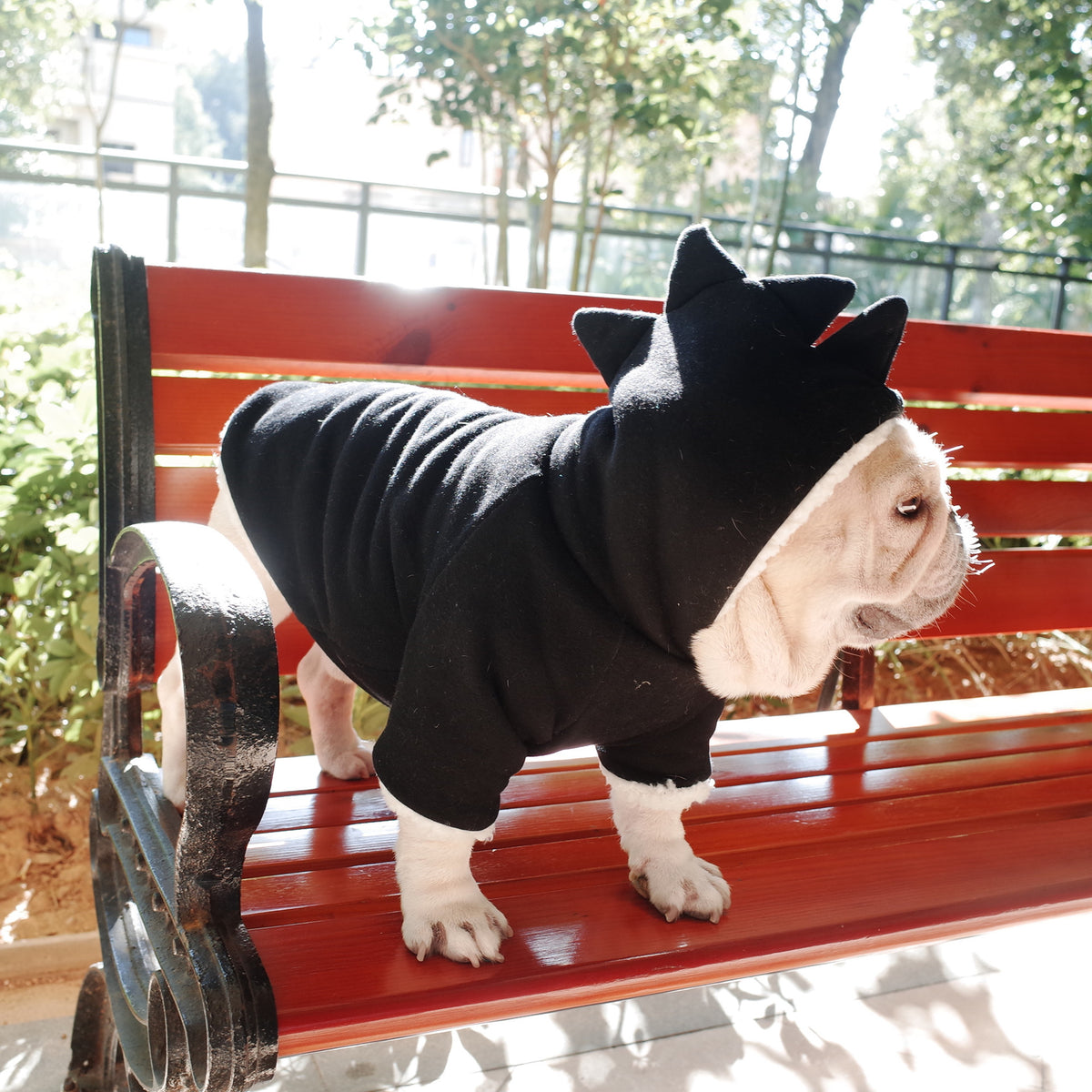 Dinosaur Hooded Lamb Fleece Winter Sweater, for dogs.