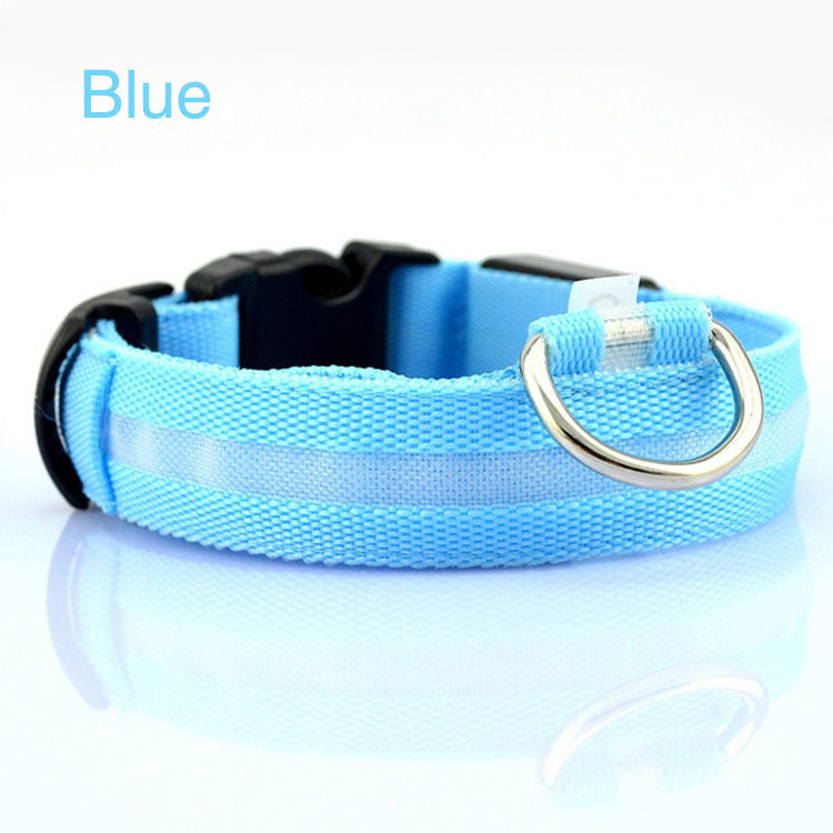LED Safety Dog Collar with Replaceable Batteries, for dogs.
