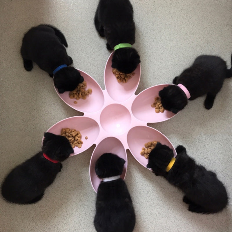 Petal-Shaped Pet Feeding Bowl, for dogs and cats.