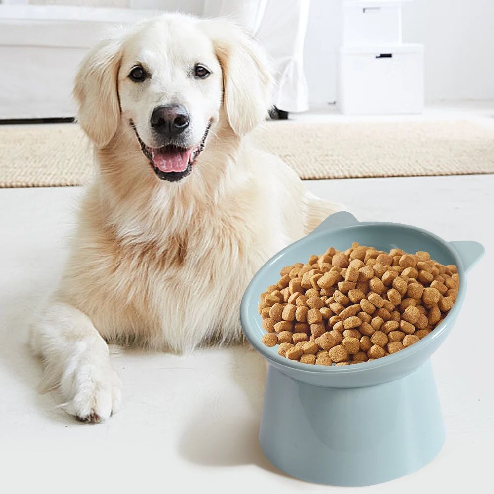 Raised Non-Slip Cat Feeding Bowl for Easier Meals, for cats.
