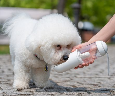 Portable 330ml Pet Water Bottle with Filter Element, for dogs and cats.
