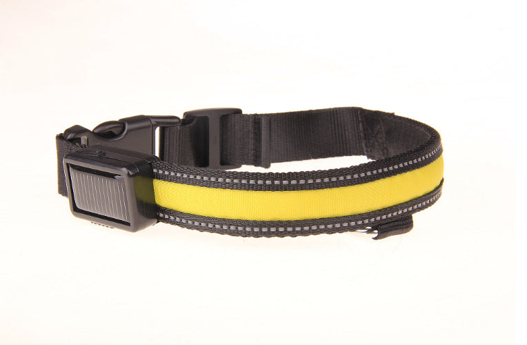Solar-Charged LED Dog Collar with Reflective Nylon Band, for dogs.