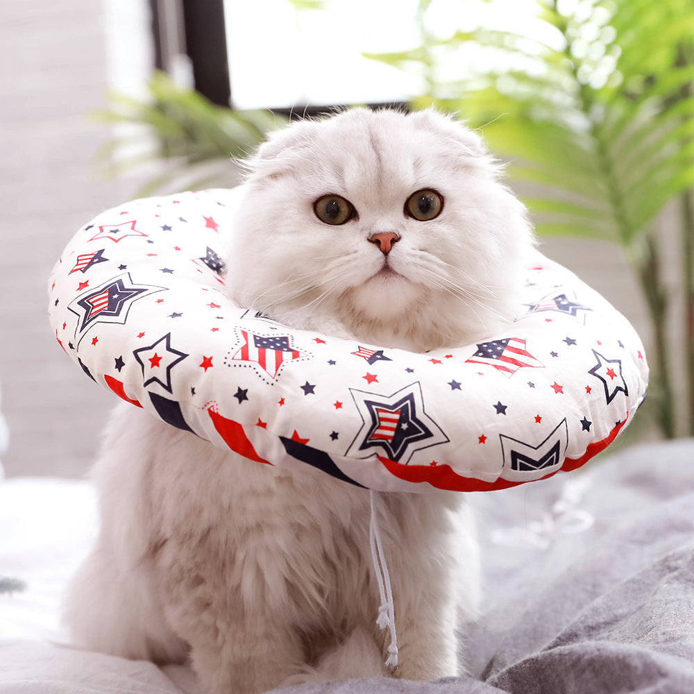 Padded Recovery Collar, for cats.