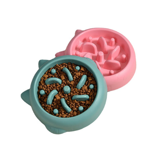 Anti-Gulping Slow Feeder Bowl for Dogs and Cats