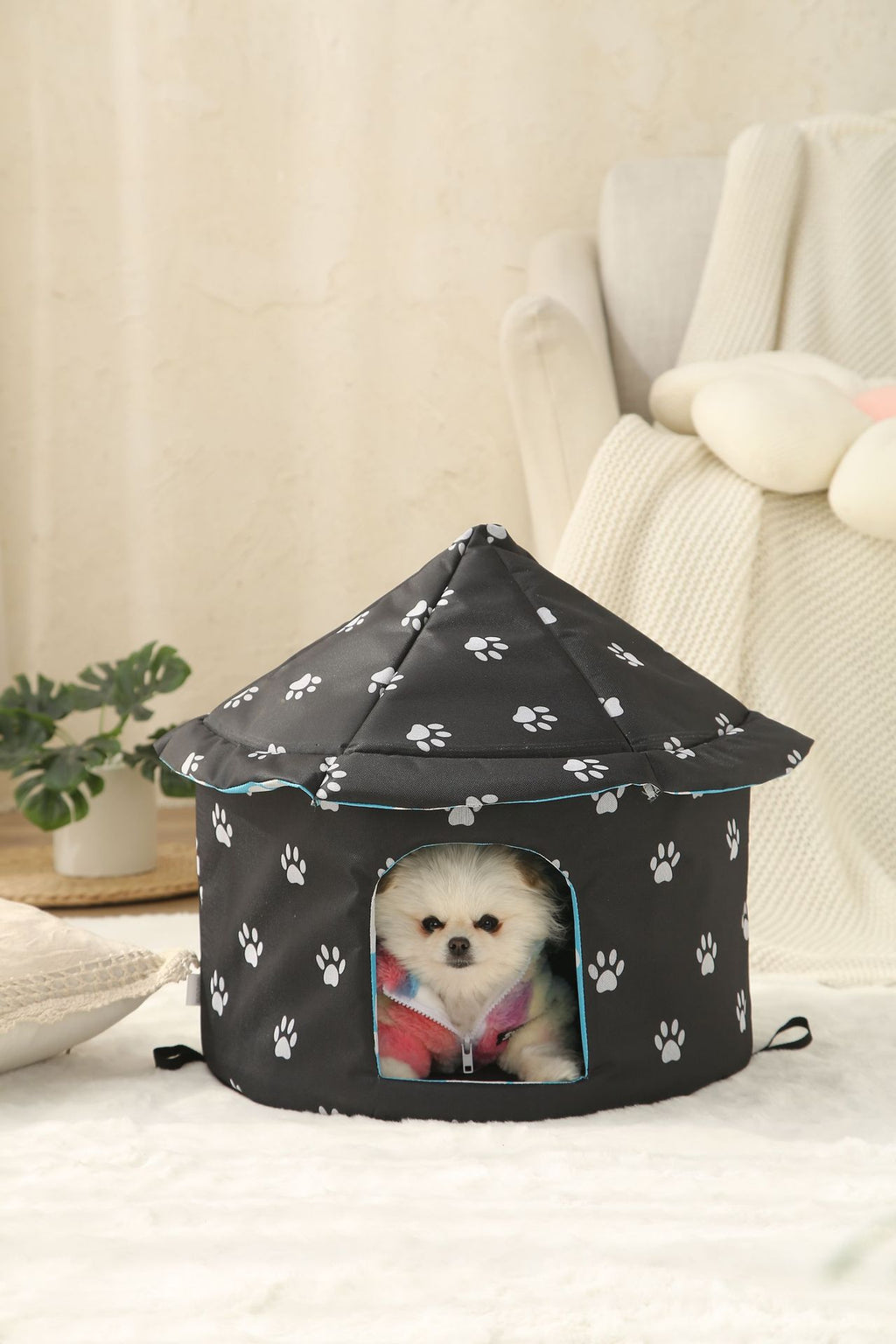 Cold-Weather Dome Tent Bed, for dogs and cats.
