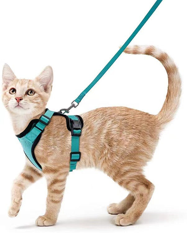 Breathable Mesh Chest Harness with Reflective Trim, for cats.