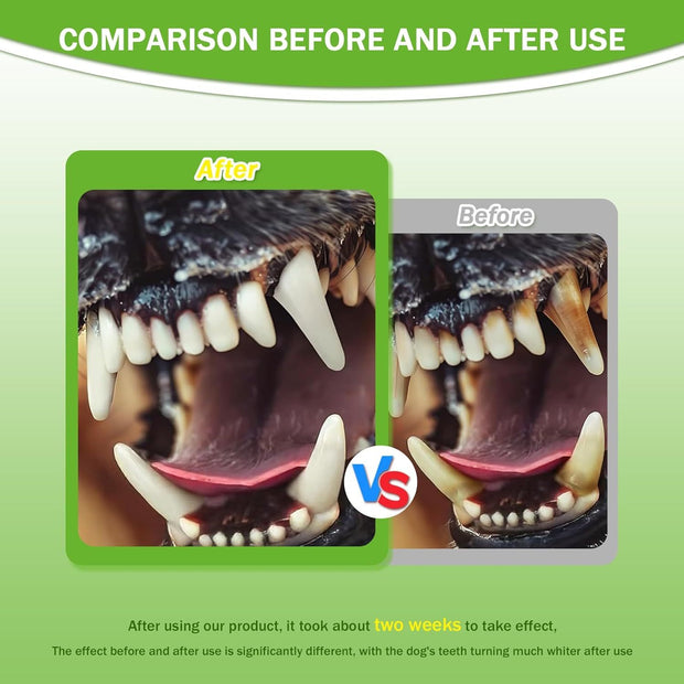 Pet Dental Powder – Freshens Breath & Protects Gums Daily – close-up