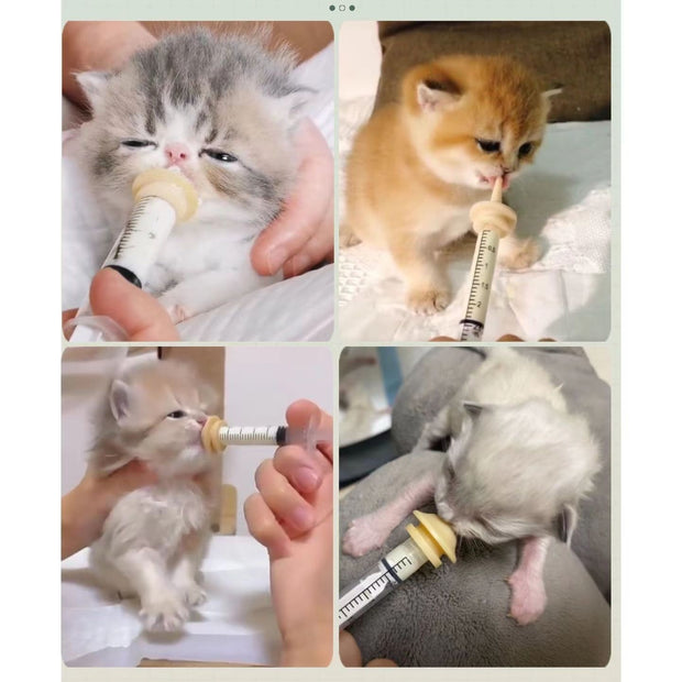 Kitten & Puppy Nursing Bottle Set – Silicone Feeding Syringe – detail view