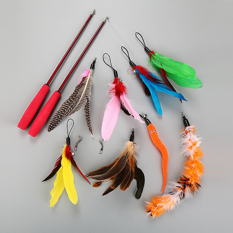10-Piece Cat Teaser Wand Set with Telescopic Poles, for cats.
